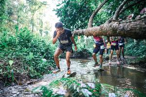 BIB: 
                            <button type="button" onclick="openModal(25435805)" class="btn btn-primary btn-sm float-right btn-popup" data-toggle="modal" data-target=".modal-high-quality">
                        <i class="fas fa-shopping-cart"></i> Add to Cart
                    </button>
                                            <button type="button" onclick="isThisMe(25435805, true)" class="btn btn-success btn-sm float-right btn-popup btn-isme hidden" data-toggle="tooltip" data-placement="bottom" title="นี่คือรูปของคุณใช่ไหม คลิกที่นี่เพื่อเอาเข้าอัลบั้ม">
                        <i class="fas fa-plus"></i> Add to album
                    </button>
                    <button type="button" onclick="isThisMe(25435805, false)" class="btn btn-warning btn-sm float-right btn-popup btn-isnotme hidden">
                        <i class="fas fa-ban"></i> Remove from album
                    </button>